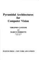 Pyramidal Architectures for Computer Vision