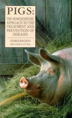 Pigs