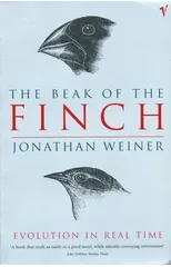 The Beak Of The Finch
