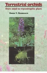 Terrestrial Orchids