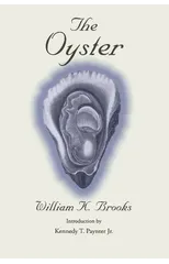 The Oyster