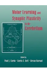 Motor Learning and Synaptic Plasticity in the Cerebellum