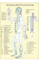 Special Points in Acupunture -- A4