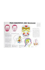 Face Diagnosis and Massage