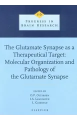 The Glutamate Synapse as a Therapeutic Target