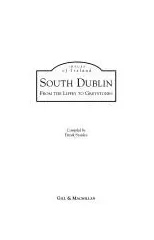 South Dublin