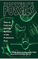 Discovering Fossils