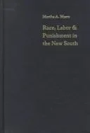 Race Labor Punishment in New South