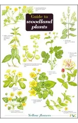 Guide to Woodland Plants