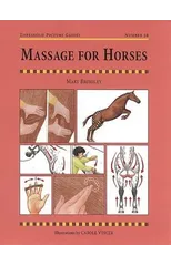 Massage for Horses