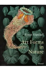 Art Forms in Nature