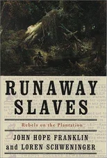 Runaway Slaves