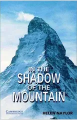 In the Shadow of the Mountain Level 5