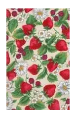 Strawberry Patch Blank Journal