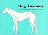 Dog Anatomy