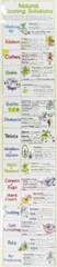 Natural Cleaning Solutions Chart