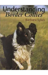 Understanding Border Collies