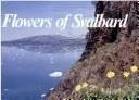 Flowers of Svalbard