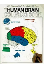 The Human Brain Coloring Book