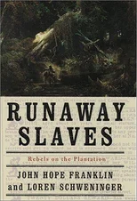 Runaway Slaves