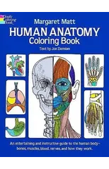 Human Anatomy