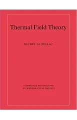 Thermal Field Theory