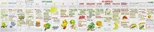 Vitamin Chart