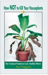 How Not to Kill Your Houseplants