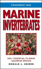 Marine Invertebrates