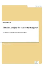 Kritische Analyse des Standortes Singapur