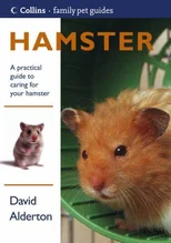 Hamster