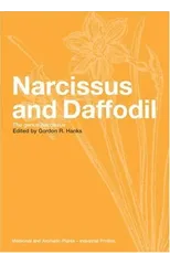 Narcissus and Daffodil