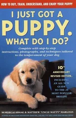 I Just Got A Puppy, What Do I Do