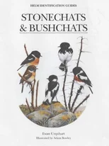 Stonechats