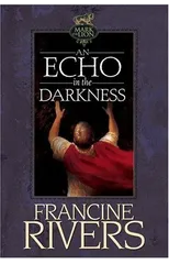Echo in the Darkness