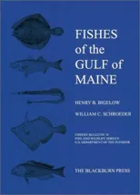 Fishes of the Gulf of Maine