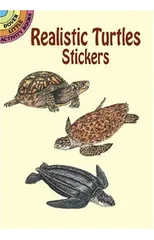 Realistic Turtles Stickers