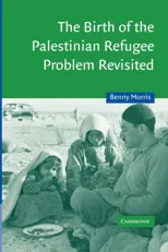 The Birth of the Palestinian Refugee Problem Revisited