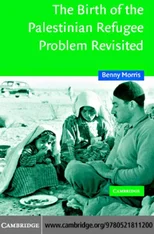 The Birth of the Palestinian Refugee Problem Revisited