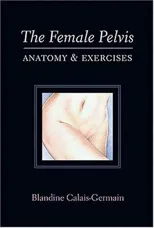 The Female Pelvis
