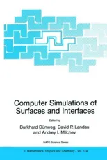 Computer Simulations of Surfaces and Interfaces (2003)