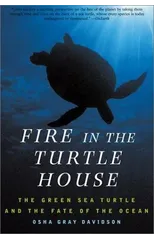 Fire In The Turtle House