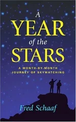 A Year of the Stars