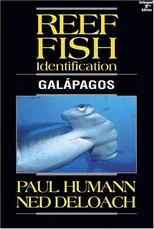 Reef Fish Identification