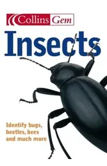Insects