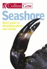 Seashore