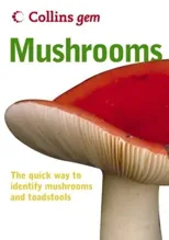 Mushrooms