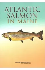 Atlantic Salmon in Maine