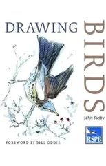 Drawing Birds