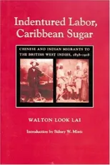 Indentured Labor, Caribbean Sugar